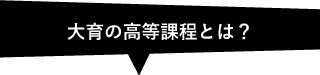 大育の高等課程とは？