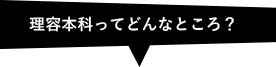 理容本科ってどんなとこだろう？